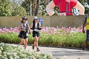 BIB: 
                            <button type="button" onclick="openModal(27795913)" class="btn btn-primary btn-sm float-right btn-popup" data-toggle="modal" data-target=".modal-high-quality">
                        <i class="fas fa-shopping-cart"></i> Add to Cart
                    </button>
                                            <button type="button" onclick="isThisMe(27795913, true)" class="btn btn-success btn-sm float-right btn-popup btn-isme hidden" data-toggle="tooltip" data-placement="bottom" title="นี่คือรูปของคุณใช่ไหม คลิกที่นี่เพื่อเอาเข้าอัลบั้ม">
                        <i class="fas fa-plus"></i> Add to album
                    </button>
                    <button type="button" onclick="isThisMe(27795913, false)" class="btn btn-warning btn-sm float-right btn-popup btn-isnotme hidden">
                        <i class="fas fa-ban"></i> Remove from album
                    </button>